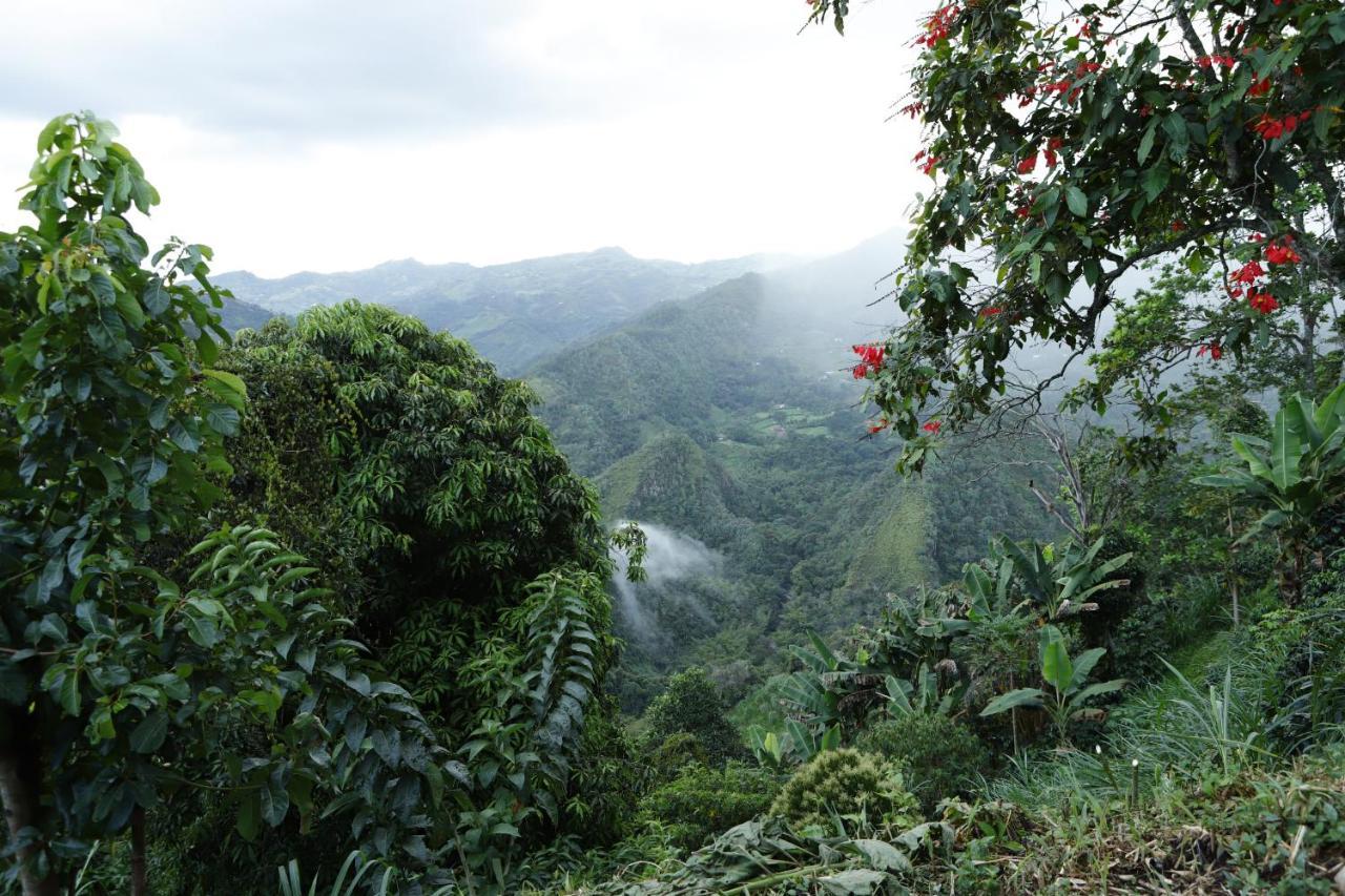 Ecohotel Monteverde La Vega  Kültér fotó