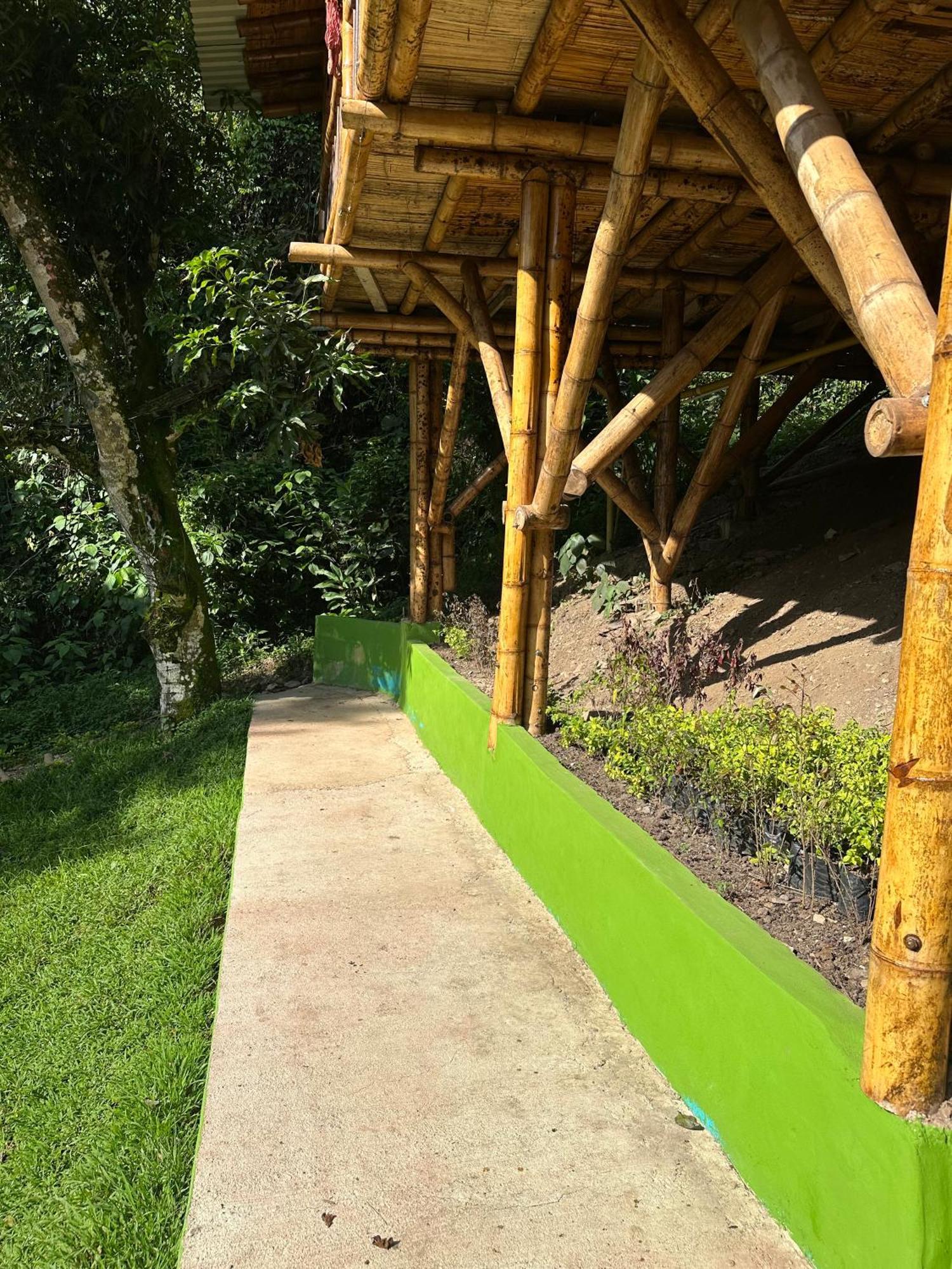 Ecohotel Monteverde La Vega  Kültér fotó