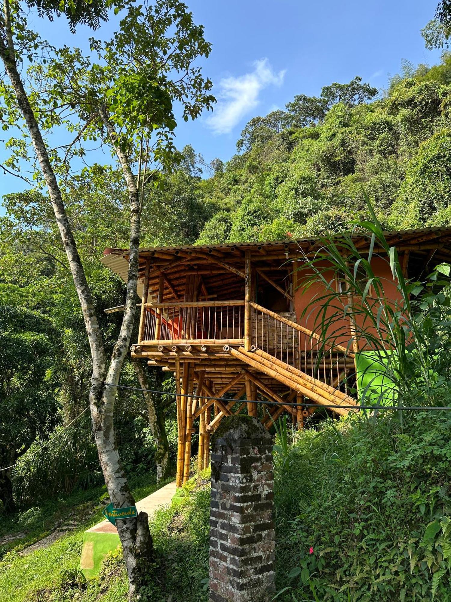 Ecohotel Monteverde La Vega  Kültér fotó