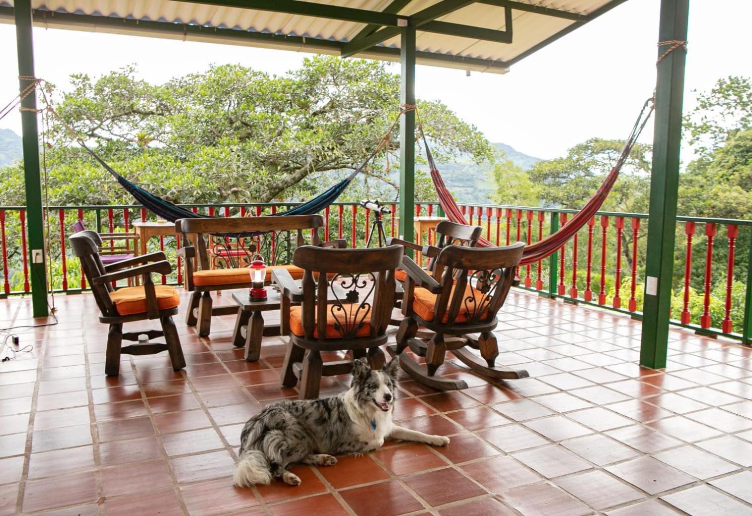 Ecohotel Monteverde La Vega  Kültér fotó