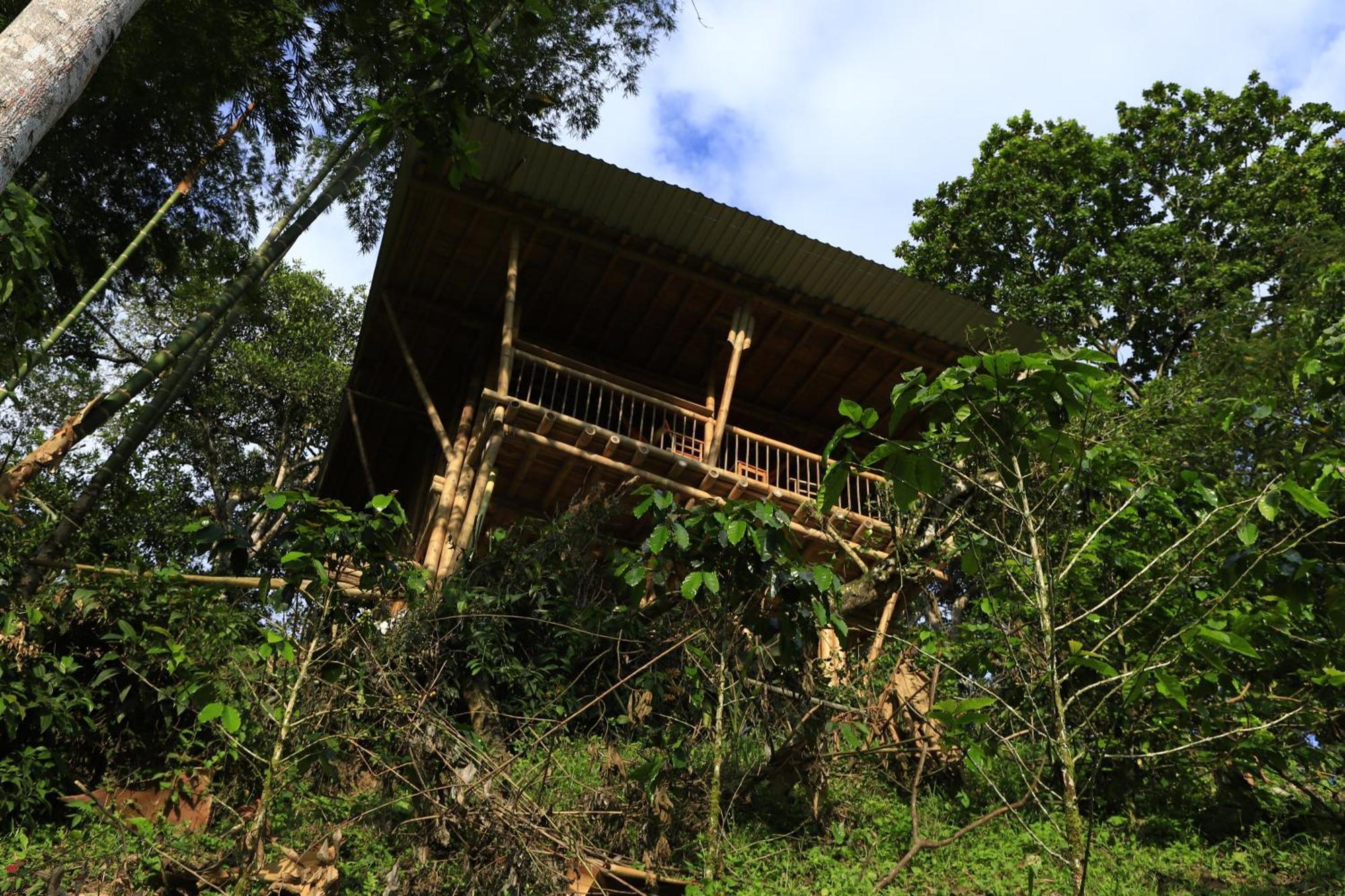 Ecohotel Monteverde La Vega  Kültér fotó