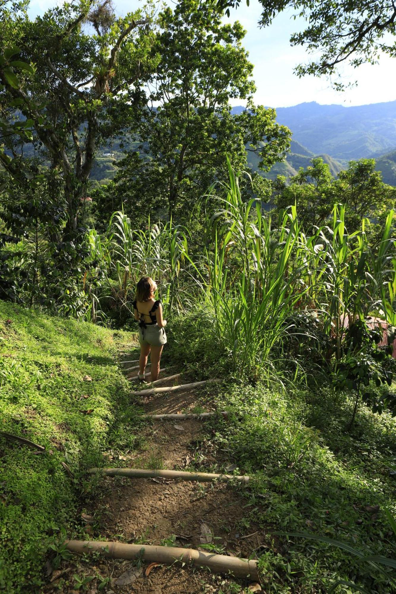 Ecohotel Monteverde La Vega  Kültér fotó