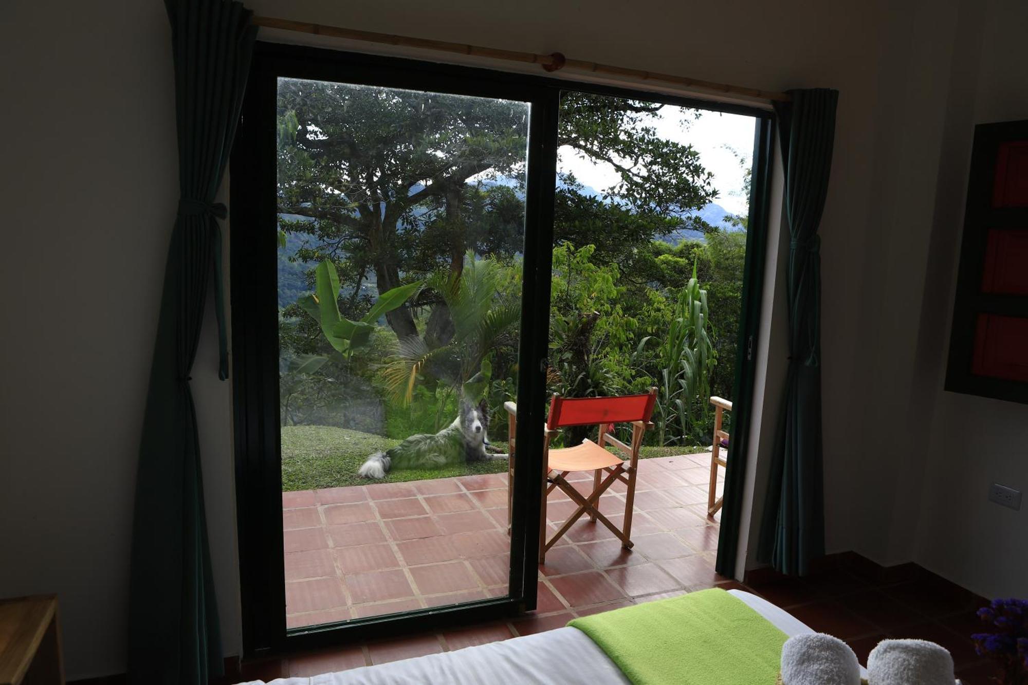 Ecohotel Monteverde La Vega  Kültér fotó